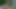 Chubby Aunty sex in Forest!! Big Cock Thief fuck and make her cum!!!