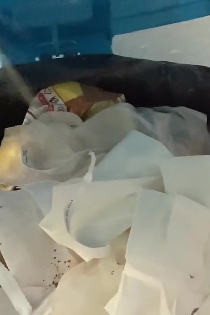 Élvezni fogod ezt a furcsa videót Nikkivel