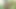 HOT YOUNG HARD MASTURBATION  AT THE  FOREST WITH LONG HARD DICK ROHIT  CUMSHOT INDIAN BOY SEX VIDEO