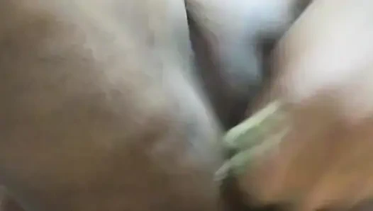 Bangladeshi college girl has full video sex with eggplant