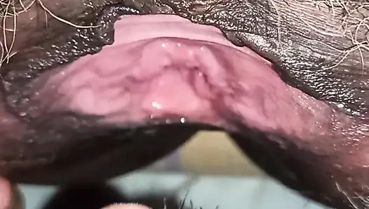 Eating pussy