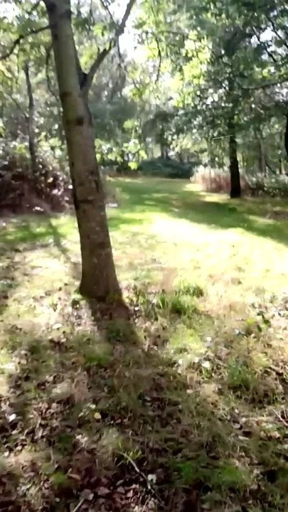 Running with Cock Out in the Trees