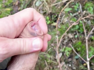 Paja rápida y semen en el bosque