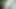 XXX sex virgin girl hot sex video full dasi bhabhi