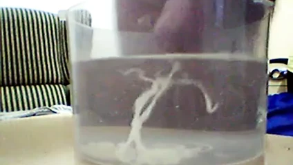 todo pal agua
