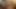 Linda Hamilton, the actress who portrayed Sarah Connor in the Terminator franchise, has been seen naked on a website dedicated to scandalous content.