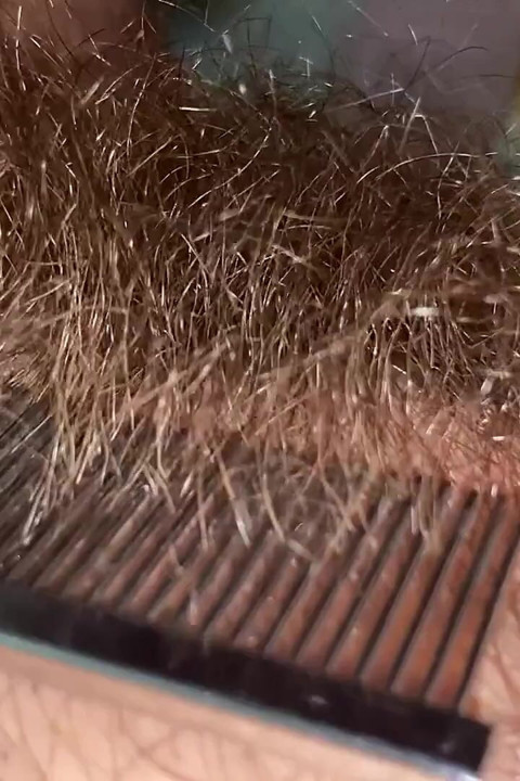 Brushing My Bush