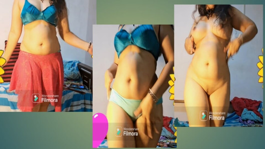 Pregled videozapisa
