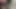 Sucking my dick thick and huge from the strain of cumming!