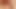 Dancing Pink Pussy