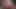 Amateur couple. Pissing, licking, fucking.