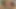 Kalina Ryu - asiatischer Tease-Job