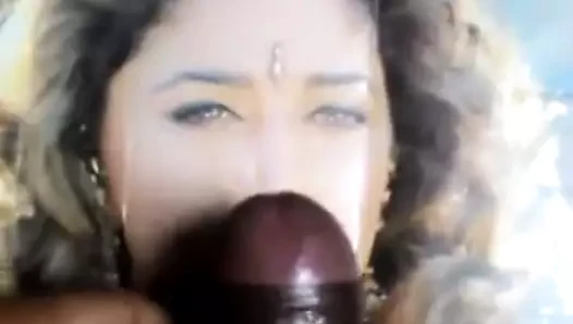 jerk tribute on madhuri