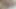 Sıska zenci sürtük büyük beyaz bir yarağın nasıl hissettirdiğini öğrendi!