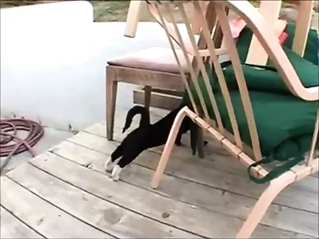 Nexxxt backyard mmf dp çift anal üçlü