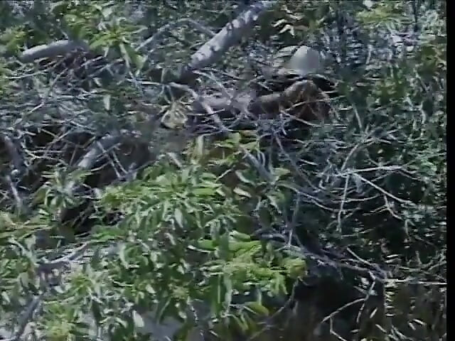 Hot bitch ass fucked on the hiking trail