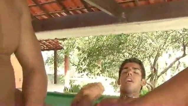 Gaysex