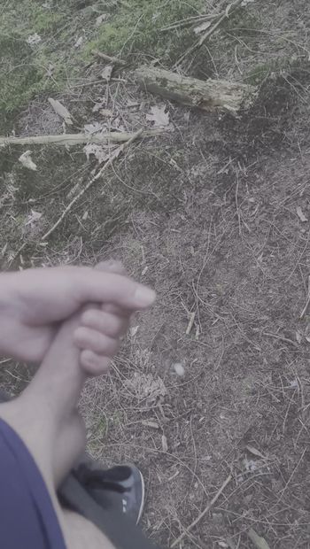 森の中でムラムラしたので、私はそれをジャークしなければならなかった(パブリックJO)