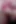 I Massage His Cock with Lots of Love! Fabulous Final Cumshot!