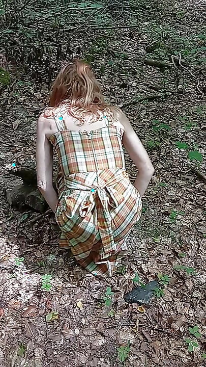 I walk in the forest 1