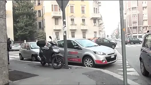 Соседские свиньи