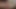 In the early hours of dawn, a young couple was discovered by the police officers to have been enjoying a passionate sexual encounter with an elderly gentleman.