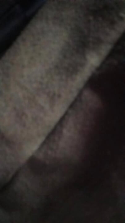 今晚感覺又可愛又調皮