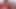 Interracial Sex Doll Riding MILF's