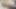 Netter femboy fingert, fickt und klaffendes arschloch