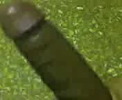 x te...