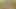 I undress and walk naked in the woods! -Amateur