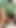 Uğur böceği ile 2019 Avn Expo