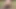 A Little Outdoor Play with My Anus Hole with Anal Balls Toy and Dildo