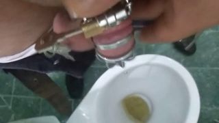 Peeing with chastity