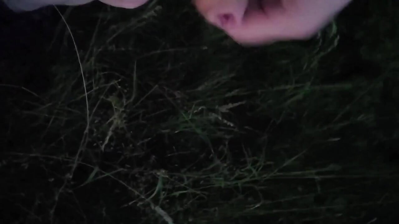 Nice Wank in the Park