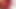 Red Slip wanking