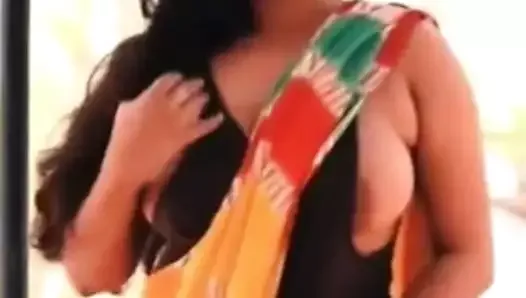 Fille sexy en sari