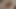 Bronzlaşmış milf çıplak uyur ve uyanır yukarı dik