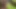 sucked daddy in the woods - summer 2023