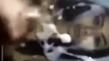 Ateşli latin kıza boşalıyor