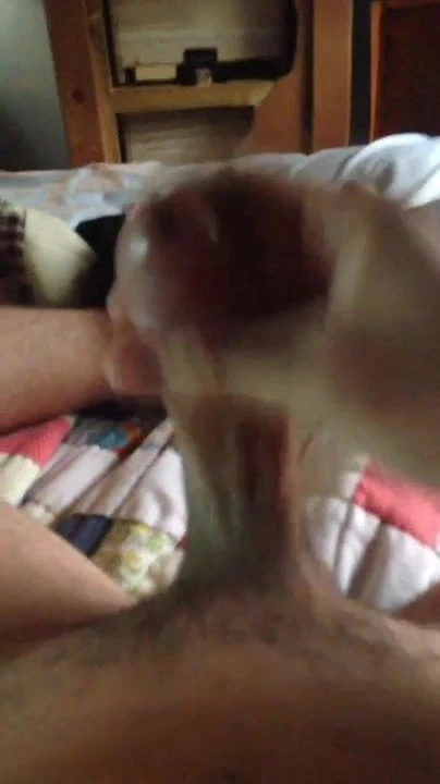 Look at that cumshot :3