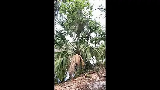 Видео на весь день