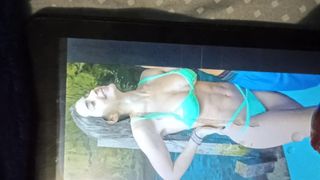 Jadeitowy picon Cumtribute