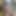 Colegial Girl Has Anal Sex with Roommate for Earn Money on Webcam