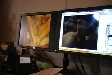 Tribute to sexy gnom447