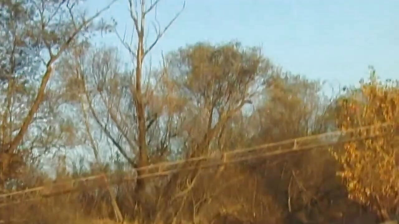 Wilde seks buitenshuis