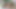 シェイは飛び去ろう