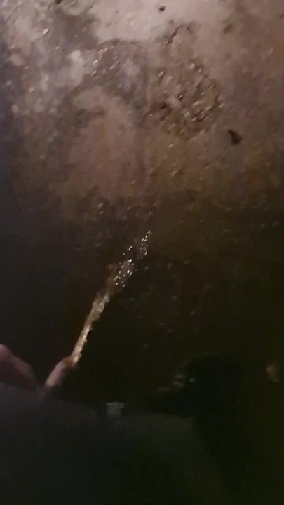 Italian pig pissing in truck parking