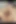 Muslim Cowgirl Girlfriend Pussy Fucking Reverse Cowgirl Style by Indian Boyfriend
