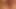 Creampie alem